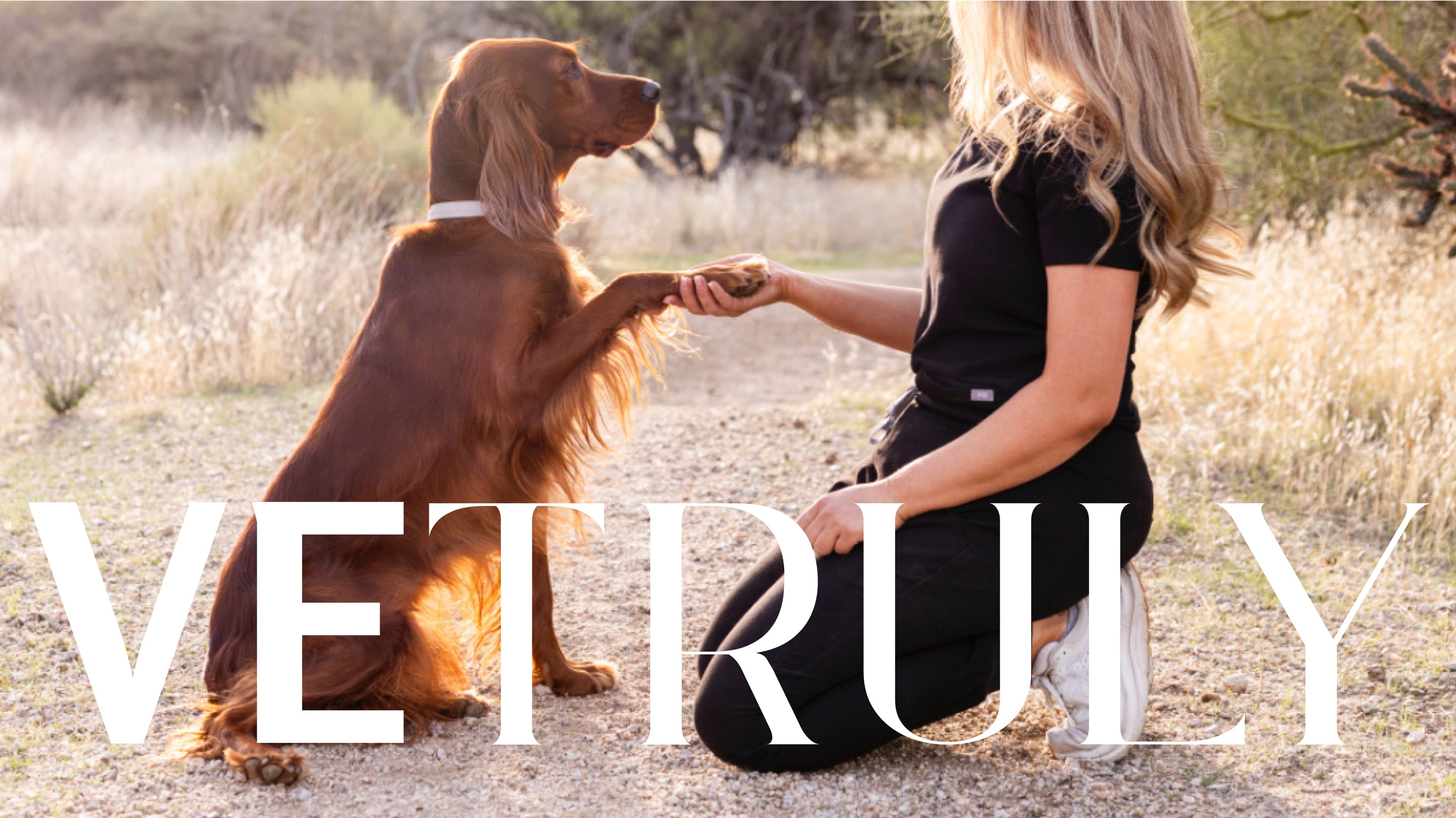 A veterinary professional shaking paws with an Irish Setter in the desert.