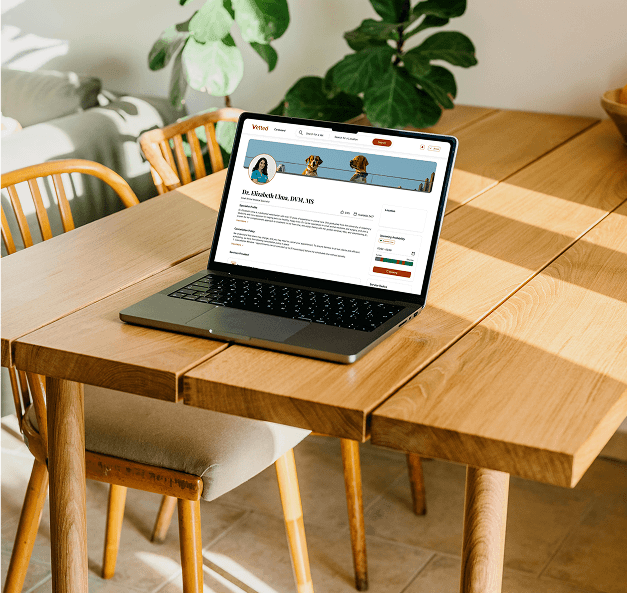 Laptop opened on table displaying Vetruly dashboard interface